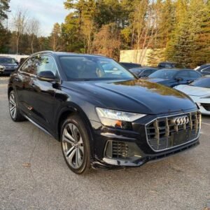 2019 AUDI Q8,
