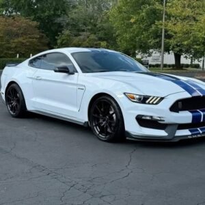 2018 ford mustang Shelby